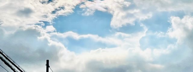 めだかさんの壁紙画像