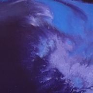 めだかさんのアイコン画像