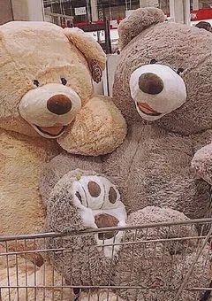 愛されぼーい 。