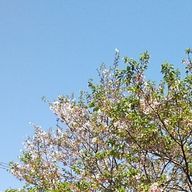 マカロン🗼@( •ө• )さんのアイコン画像