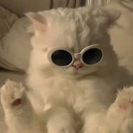 さらさんのアイコン画像