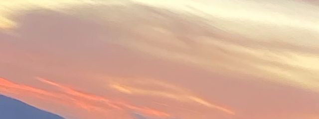 。 세 이 라 🌷☁️さんの壁紙画像