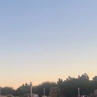 キラキラ流れ星✩.*˚  @低浮上さんのアイコン画像