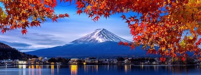 きのこさんの壁紙画像