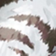 九尾🦊さんのアイコン画像