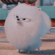 ぽめさんのアイコン画像