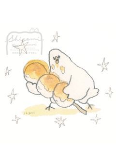 来い！！！！（他の人は覗き禁止！）