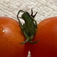 HNTさんのアイコン画像