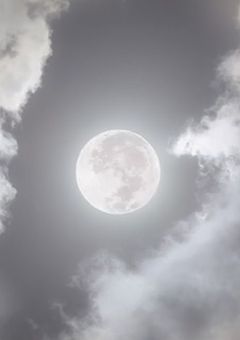 満月の夜と吸血鬼