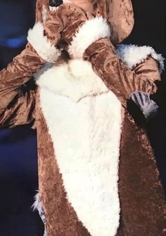 わんにゃん、すのーわんっ🐶🐱🐤