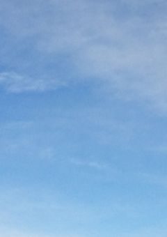 じゃにーずの紅一点。
