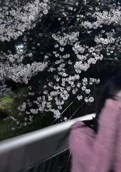 この花を、貴方に