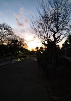 夢を絆ぐ〜STARTO Flower Shop〜