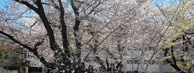 たららさんの壁紙画像