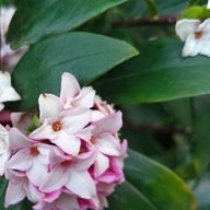  さんのアイコン画像