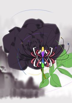 色が見えない君は軍人になる