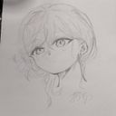 オオイワギリソウ