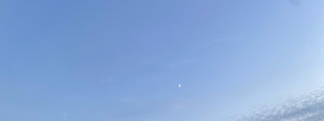 Shinさんの壁紙画像