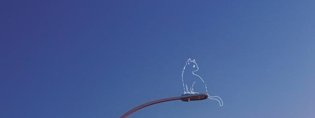 金華猫🐾🐾     @低浮上さんの壁紙画像