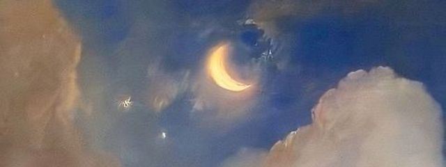 てんピカさんの壁紙画像