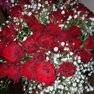 ミルさんのアイコン画像