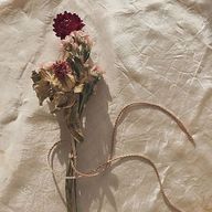 제　니🤍さんのアイコン画像