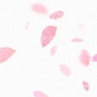 も ち ょ ち ょ 、さんのアイコン画像