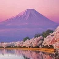 あすかさんのアイコン画像
