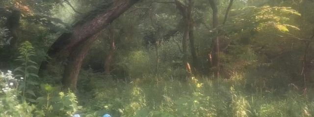 ELYSIA Entertainmentさんの壁紙画像