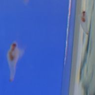 あさひさんのアイコン画像