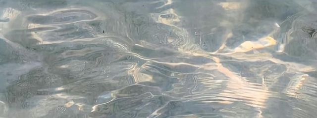 shiroさんの壁紙画像