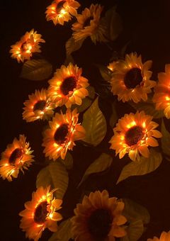 ヨコハマの星と夜