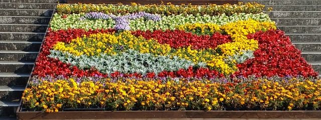 ミヅキさんの壁紙画像