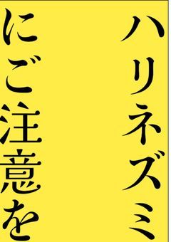 ハリネズミにご注意を