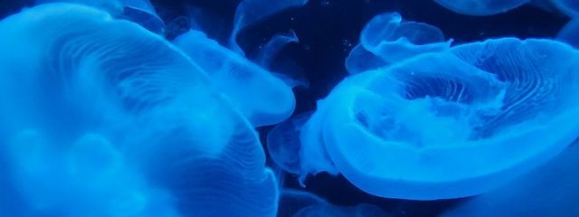 僕僕さんの壁紙画像