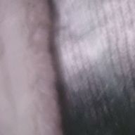 みーさんのアイコン画像