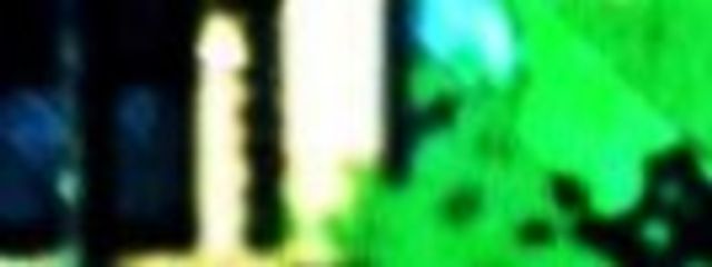  う い は . さんの壁紙画像