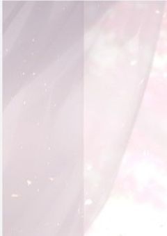  コネクトメモリー 。