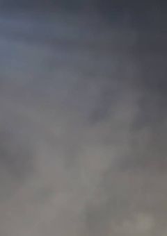 逃げ惑え、暗闇へ。