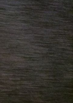 ─ 馬鹿げた楽園に終止符を.