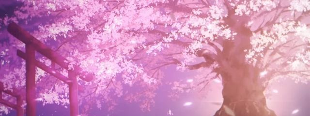 ぺるさんの壁紙画像