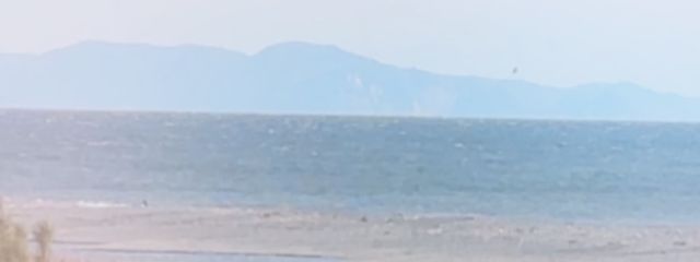 ことねさんの壁紙画像