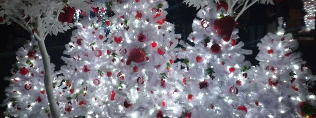 蒼炎さんの壁紙画像