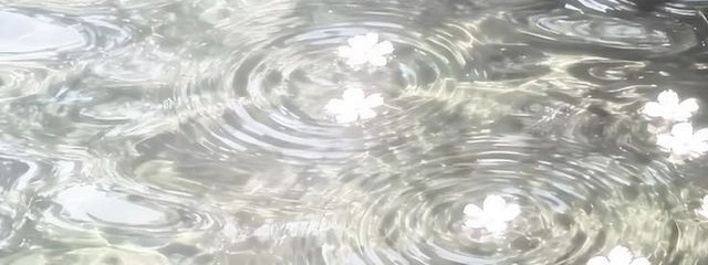 仔 宮 瑠 璃 .さんの壁紙画像