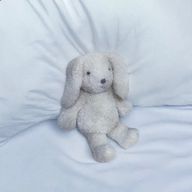 Sakuraさんのアイコン画像