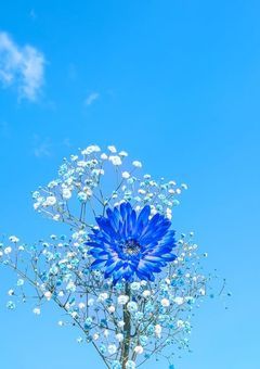 #é¢ä¿è
ããåéïŒïŒ