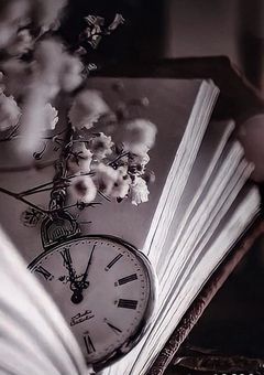 æèšã®éãæ¢ããã