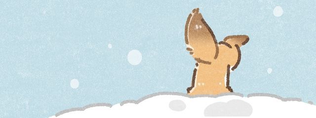 パナさんの壁紙画像