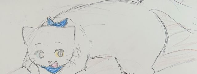 猫丸🌸@１ヶ月毎日投稿さんの壁紙画像