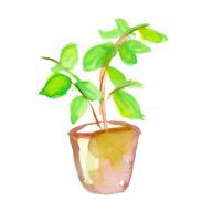 🌿.∘さんのアイコン画像